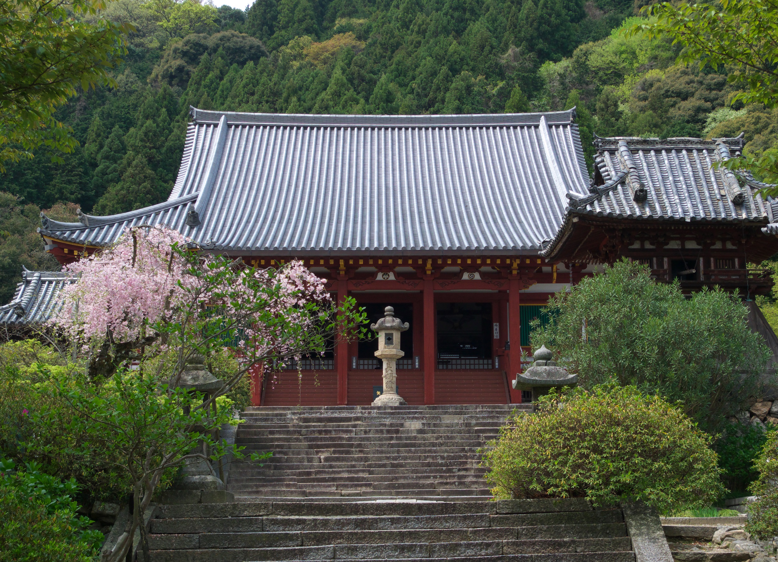 奈良の矢田寺は紫陽花に包まれるお地蔵様発祥の地 | 開運サプリ