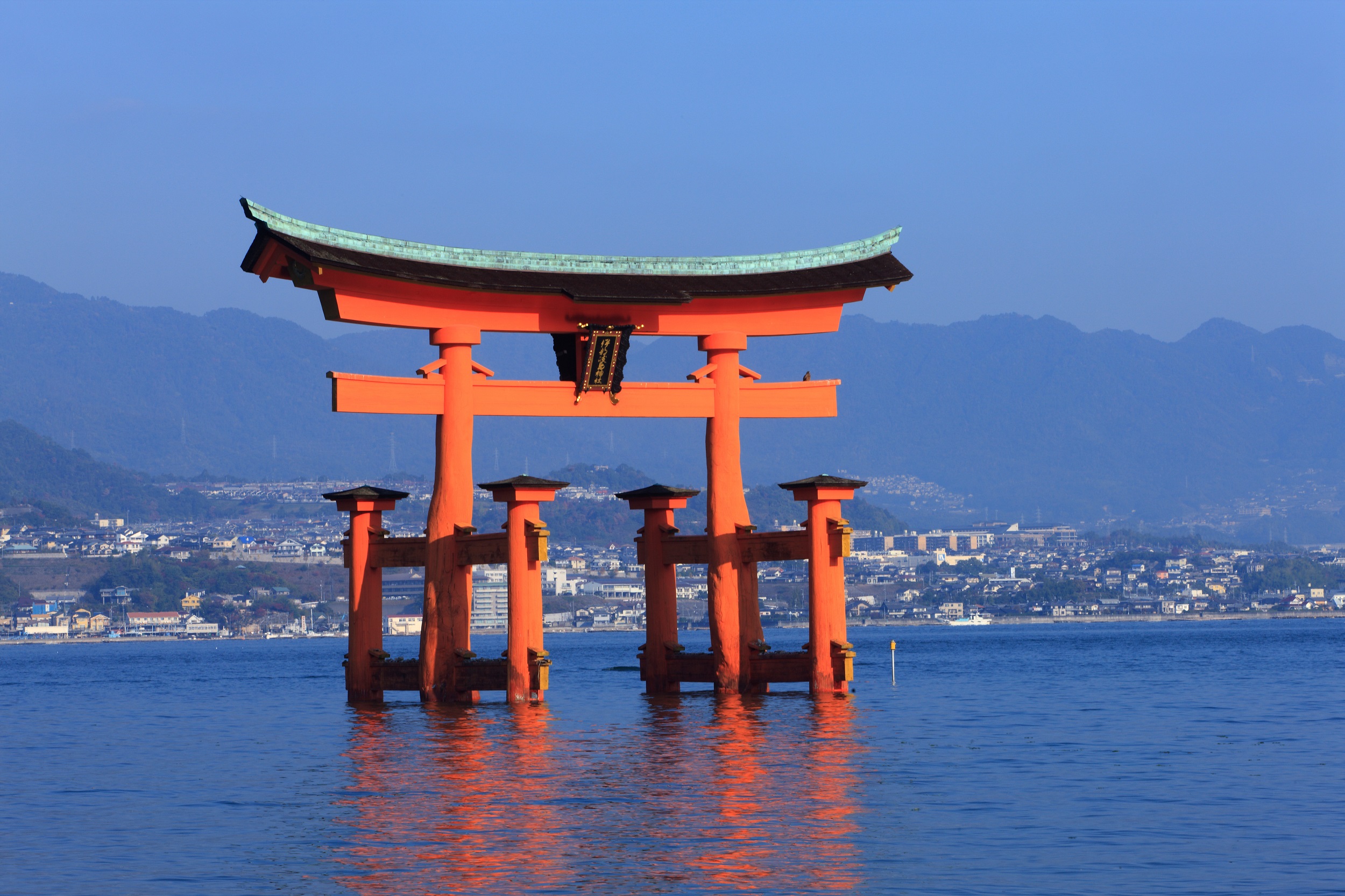 Sakura Fotolia