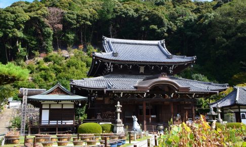 京都三室戸寺