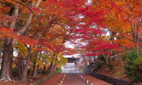 京都毘沙門堂門跡
