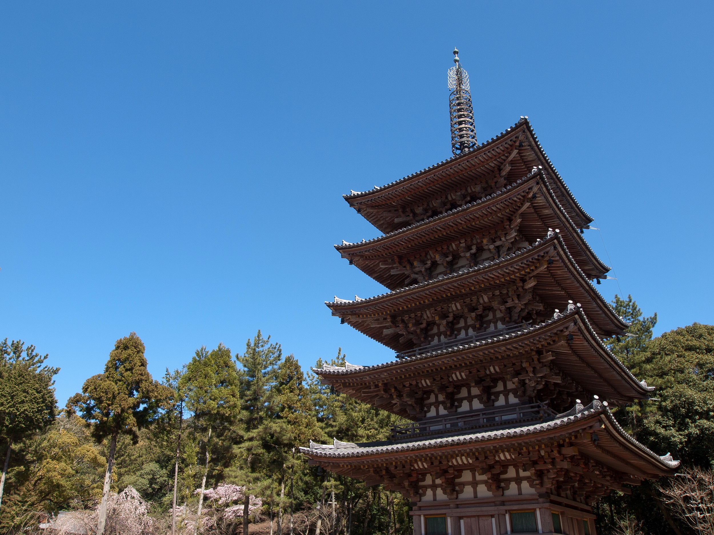 京都醍醐寺