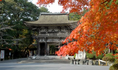 滋賀三井寺