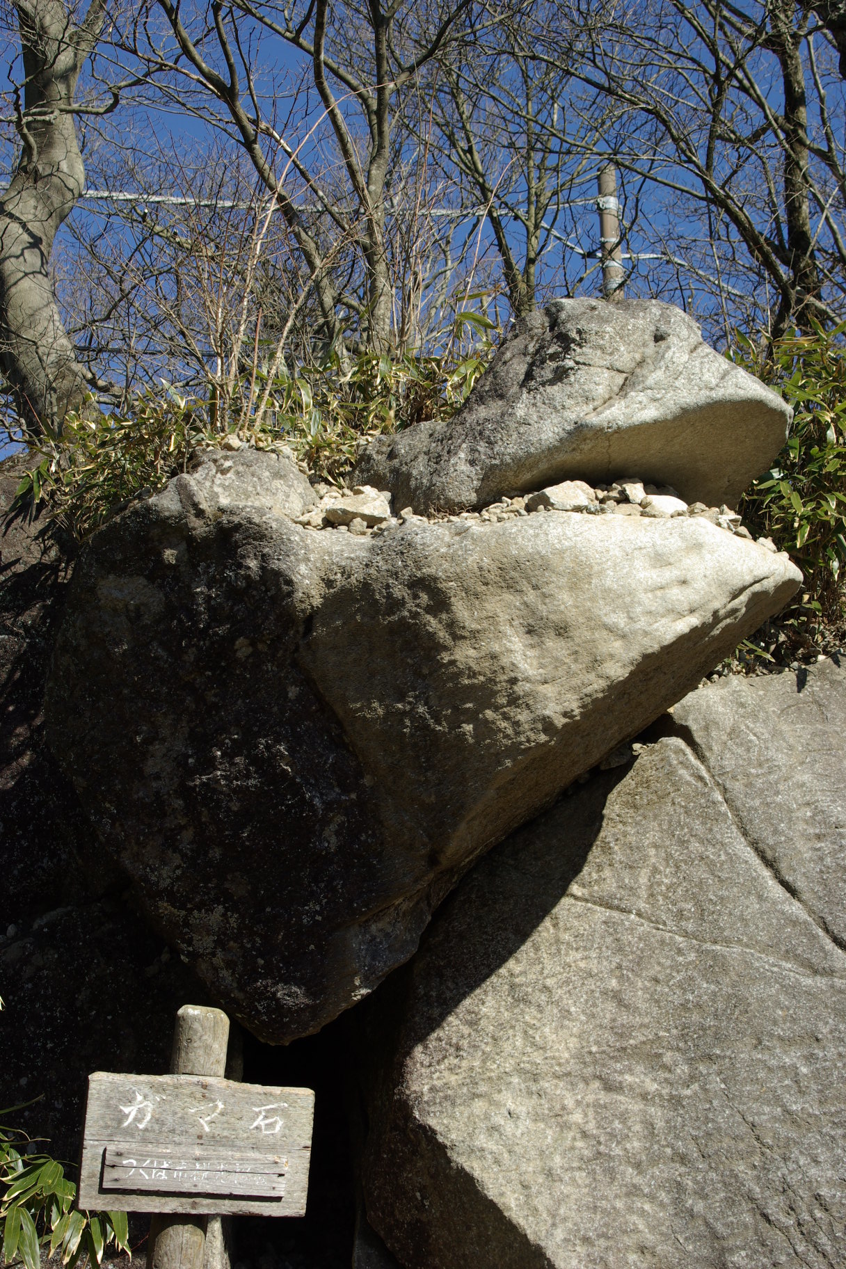 茨城県筑波山のガマ石